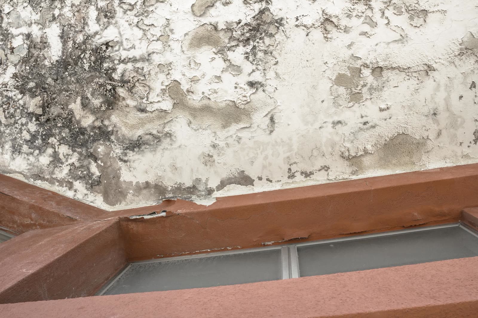 Mold growth where indoor humidity stayed too high